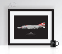 Thumbnail for F-4 Phantom VF-111 - Poster