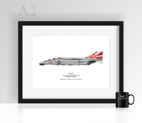 Thumbnail for F-4 Phantom VF-111 - Poster