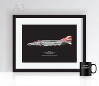 Thumbnail for F-4 Phantom VF-111 - Poster