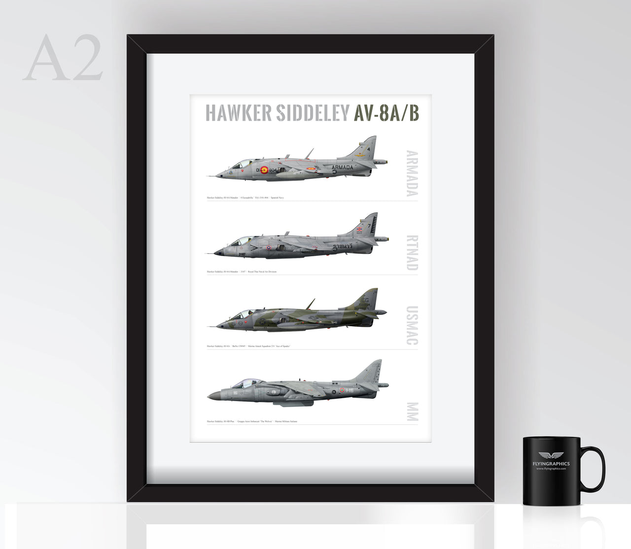 AV8A Profiles - Poster