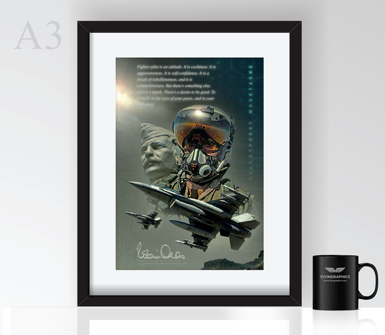 Robin Olds - Poster